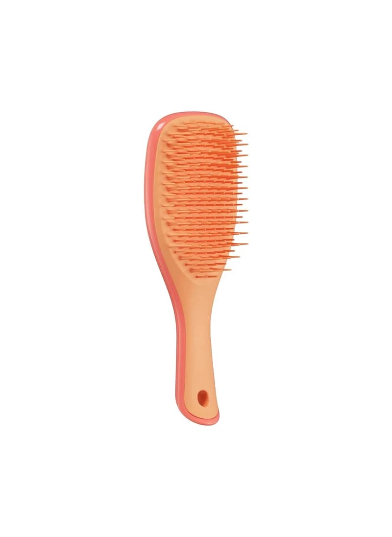 Hair Brushes Ultimate Detangler Mini - Pink Orange
